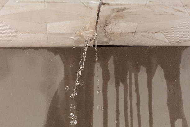 Professional Sewage Cleanup technician working in Dudley, NC